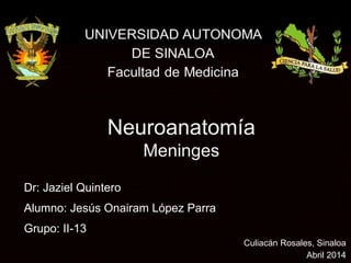 Neuroanatomía
Meninges
Dr: Jaziel Quintero
Alumno: Jesús Onairam López Parra
Culiacán Rosales, Sinaloa
Abril 2014
Grupo: II-13
 
