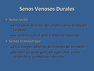 Senos Venosos Durales Seno recto: En la unión de la hoz del cerebro con la tienda del cerebelo. Se continua con el seno transverso izquierdo. Senos transversos: En el margen adherido de la tienda del cerebelo. Reciben los senos petrosos superiores, venas cerebrales y cerebelosas inferiores. 