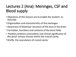 Comprehensive Anatomy of Meninges and Brain Blood Supply | PPT