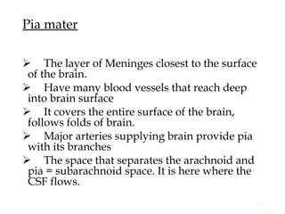 Comprehensive Anatomy of Meninges and Brain Blood Supply | PPT