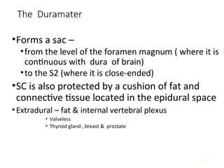 Comprehensive Anatomy of Meninges and Brain Blood Supply | PPT