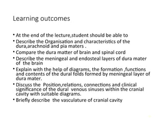 Comprehensive Anatomy of Meninges and Brain Blood Supply | PPT