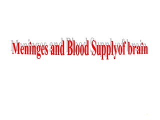 Comprehensive Anatomy of Meninges and Brain Blood Supply | PPT