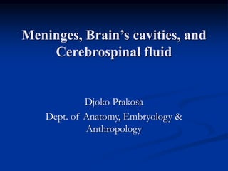 Meninges, Brain’s cavities, and
Cerebrospinal fluid
Djoko Prakosa
Dept. of Anatomy, Embryology &
Anthropology
 