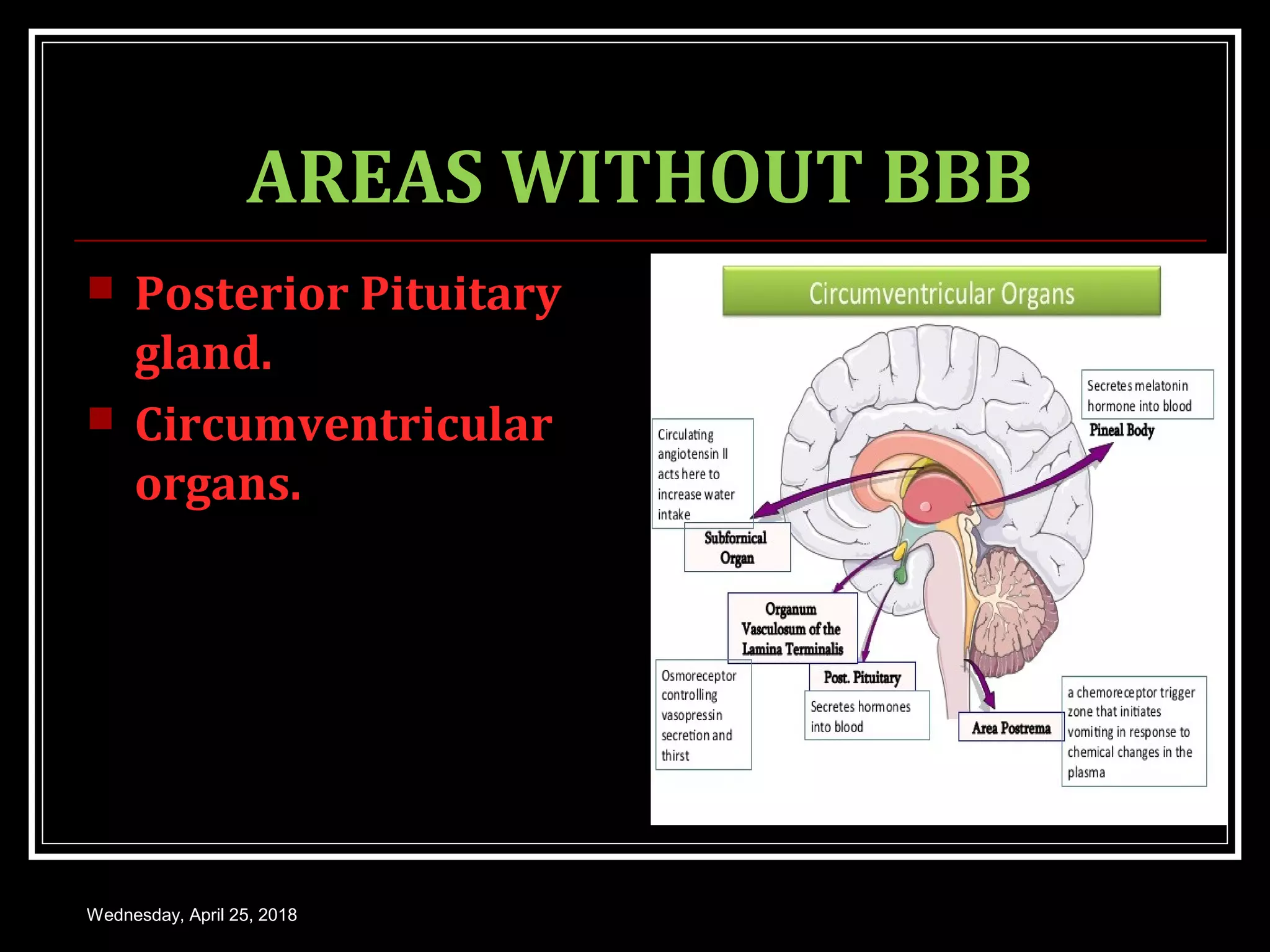 MENINGES, CEREBROSPINAL FLUID AND BLOOD BRAIN BARRIER | PPT