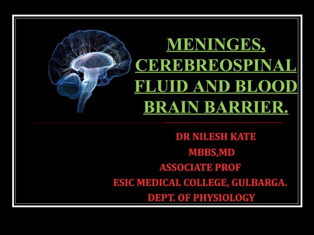 MENINGES, CEREBROSPINAL FLUID AND BLOOD BRAIN BARRIER | PPT
