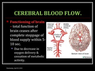 MENINGES, CEREBROSPINAL FLUID AND BLOOD BRAIN BARRIER | PPT