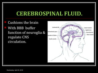 MENINGES, CEREBROSPINAL FLUID AND BLOOD BRAIN BARRIER | PPT