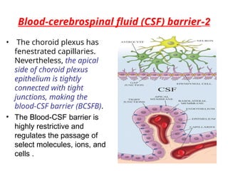 Meninges,Choroid Plexus&Brain Barriers..ppt