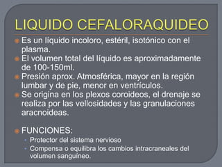  Es un líquido incoloro, estéril, isotónico con el
  plasma.
 El volumen total del líquido es aproximadamente
  de 100-150ml.
 Presión aprox. Atmosférica, mayor en la región
  lumbar y de pie, menor en ventrículos.
 Se origina en los plexos coroideos, el drenaje se
  realiza por las vellosidades y las granulaciones
  aracnoideas.

   FUNCIONES:
    • Protector del sistema nervioso
    • Compensa o equilibra los cambios intracraneales del
     volumen sanguíneo.
 