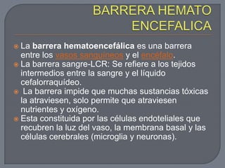  La barrera hematoencefálica es una barrera
  entre los vasos sanguíneos y el encéfalo.
 La barrera sangre-LCR: Se refiere a los tejidos
  intermedios entre la sangre y el líquido
  cefalorraquídeo.
 La barrera impide que muchas sustancias tóxicas
  la atraviesen, solo permite que atraviesen
  nutrientes y oxígeno.
 Esta constituida por las células endoteliales que
  recubren la luz del vaso, la membrana basal y las
  células cerebrales (microglia y neuronas).
 