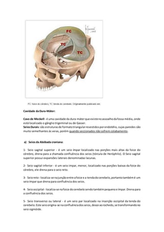 Cavidade da Dura-Máter: 
Cavo de Meckell - é uma cavidade da dura-máter que existe no assoalho da fossa média, onde 
está localizado o gânglio trigeminal ou de Gasser. 
Seios Durais: são estruturas de formato triangular revestidos por endotélio, cujas paredes são 
muito semelhantes às veias, porém quando seccionados não sofrem colabamento. 
a) Seios da Abóbada craniana: 
1- Seio sagital superior - é um seio ímpar localizado nas porções mais altas da foice do 
cérebro, drena para a chamada confluência dos seios (tórcula de Heróphilo). O Seio sagital 
superior possui expansões laterais denominadas lacunas. 
2- Seio sagital inferior - é um seio impar, menor, localizado nas porções baixas da foice do 
cérebro, ele drena para o seio reto. 
3- Seio reto - localiza-se na junção entre a foice e a tenda do cerebelo, portanto também é um 
seio ímpar que drena para confluência dos seios. 
4- Seio occipital - localiza-se na foice do cerebelo sendo também pequeno e ímpar. Drena para 
a confluência dos seios. 
5- Seio transverso ou lateral - é um seio par localizado na inserção occipital da tenda do 
cerebelo. Este seio origina-se na confluência dos seios, desce ao rochedo, se transformando no 
seio sigmóide. 
 