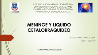 REPUBLICA BOLIVARIANA DE VENEZUELA
UNIVERSIDAD NACIONAL DE YACAMBÚ
CARRERA- PROGRAMA DE PSICOLOGÍA
FUNDAMENTOS DE NEUROCIENCIAS
AUTOR: JUAN CARLOS VERA
C.I.V.- 18639459
MENINGE Y LIQUIDO
CEFALORRAQUIDEO
CABUDARE, MARZO DE 2017
 