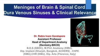 Meninges of Brain & Spinal Cord
Dura Venous Sinuses & Clinical Relevance
Dr. Rabia Inam Gandapore
Assistant Professor
Head of Department Anatomy
(Dentistry-BKCD)
B.D.S (SBDC), M.Phil. Anatomy (KMU),
Dip. Implant (Sharjah, Bangkok, ACHERS) , CHPE
(KMU),CHR (KMU), Dip. Arts (Florence, Italy)
 