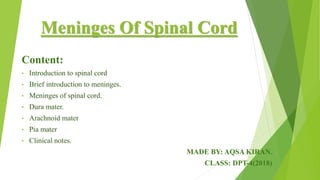 Meninges Of Spinal Cord
Content:
• Introduction to spinal cord
• Brief introduction to meninges.
• Meninges of spinal cord.
• Dura mater.
• Arachnoid mater
• Pia mater
• Clinical notes.
MADE BY: AQSA KIRAN.
CLASS: DPT-4(2018)
 