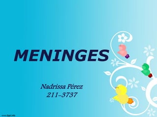 MENINGES
Nadrissa Pérez
211-3737
 