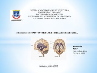 REPÚBLICA BOLIVARIANA DE VENEZUELA
UNIVERSIDAD YACAMBÚ
FACULTAD DE HUMANIDADES
PROGRAMA DE LICENCIATURA EN PSICOLOGÍA
FUNDAMENTO DE LA NEUROCIENCIA
Actividad 6
Autor:
Juan José de Abreu
C.I: 14.919.166
Caracas, julio, 2014
MENINGES, SISTEMA VENTRICULAR E IRRIGACIÓN ENCEFÁLICA
 