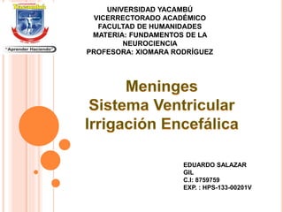 UNIVERSIDAD YACAMBÚ
VICERRECTORADO ACADÉMICO
FACULTAD DE HUMANIDADES
MATERIA: FUNDAMENTOS DE LA
NEUROCIENCIA
PROFESORA: XIOMARA RODRÍGUEZ
EDUARDO SALAZAR
GIL
C.I: 8759759
EXP. : HPS-133-00201V
 