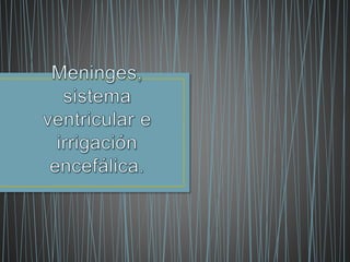 Meninges, sistema ventricular e irrigación encefálica