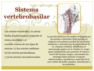 La porción posterior del cerebro es irrigada por 
las arterias vertebrales. Estas arterias se 
originan en la primera porción de las arterias 
subclavias y ascienden por la región lateral de 
la columna vertebral. Abandonan el 
mencionado agujero en la vértebra C1, luego 
giran medialmente para penetrar al cráneo a 
través del foramen magno, atravesando las 
meninges hasta alcanzar el espacio 
subaracnoideo y localizarse a cada lado de la 
cara ventral del bulbo raquídeo, lateralmente a 
las pirámides. 
Sistema 
vertebrobasilar 
Las arterias vertebrales y la arteria 
basilar proporcionan la irrigación al 
tronco encefálico y al 
cerebelo a través de tres tipos de 
arterias: (1) las arterias medianas 
(2) las arterias paramedianas, 
y (3) las arterias circumferenciales 
 