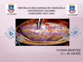 REPÚBLICA BOLIVARIANA DE VENEZUELA 
UNIVERSIDAD YACAMBU 
CABUDARE- EDO LARA 
Meninges, sistema 
ventricular e irrigación 
YOVANA BENIÍTEZ 
C.I.: 26.100.832 
encefálica. 
 