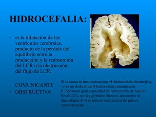 HIDROCEFALIA:
- es la dilatación de los
ventrículos cerebrales,
producto de la pérdida del
equilibrio entre la
producción y la reabsorción
del LCR o la obstrucción
del flujo de LCR.
- COMUNICANTE
- OBSTRUCTIVA

Si la causa es una obstrucción  hidrocefalia obstructiva,
si es un desbalancehidrocefalia comunicante
El peritoneo gran capacidad de reabsorción de liquido
En el LCR, no hay glóbulos blancos, anticuerpo ni
macrófagos si se infecta ventriculitis de graves
concecuencias.

 