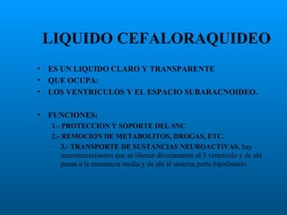 LIQUIDO CEFALORAQUIDEO
•
•
•

ES UN LIQUIDO CLARO Y TRANSPARENTE
QUE OCUPA:
LOS VENTRICULOS Y EL ESPACIO SUBARACNOIDEO.

•

FUNCIONES:
1.- PROTECCION Y SOPORTE DEL SNC
2.- REMOCION DE METABOLITOS, DROGAS, ETC.
– 3.- TRANSPORTE DE SUSTANCIAS NEUROACTIVAS. hay
neurotransmisores que se liberan directamente al 3 ventrículo y de ahí
pasan a la eminencia media y de ahí al sistema porta hipofisiario

 