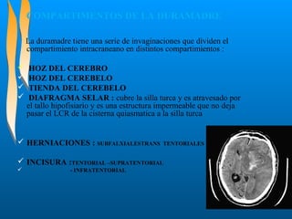 COMPARTIMENTOS DE LA DURAMADRE
La duramadre tiene una serie de invaginaciones que dividen el
compartimiento intracraneano en distintos compartimientos :





HOZ DEL CEREBRO
HOZ DEL CEREBELO
TIENDA DEL CEREBELO
DIAFRAGMA SELAR : cubre la silla turca y es atravesado por
el tallo hipofisiario y es una estructura impermeable que no deja
pasar el LCR de la cisterna quiasmatica a la silla turca

 HERNIACIONES : SUBFALXIALESTRANS

TENTORIALES

 INCISURA :TENTORIAL –SUPRATENTORIAL


- INFRATENTORIAL

 