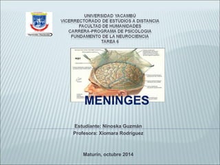 MENINGES 
Estudiante: Ninoska Guzmán 
Profesora: Xiomara Rodríguez 
Maturín, octubre 2014 
 