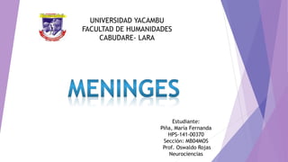 UNIVERSIDAD YACAMBU 
FACULTAD DE HUMANIDADES 
CABUDARE- LARA 
Estudiante: 
Piña, María Fernanda 
HPS-141-00370 
Sección: MB04MOS 
Prof. Oswaldo Rojas 
Neurociencias 
 