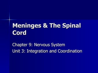 Meninges & The Spinal Cord Chapter 9: Nervous System Unit 3: Integration and Coordination 