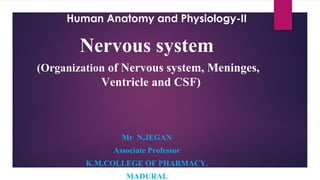Human Anatomy and Physiology-II
Nervous system
(Organization of Nervous system, Meninges,
Ventricle and CSF)
Mr N.JEGAN
Associate Professor
K.M.COLLEGE OF PHARMACY.
MADURAI.
 