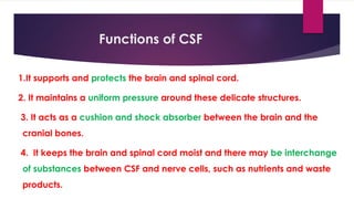 Meninges, ventricle and CSF | PPTX