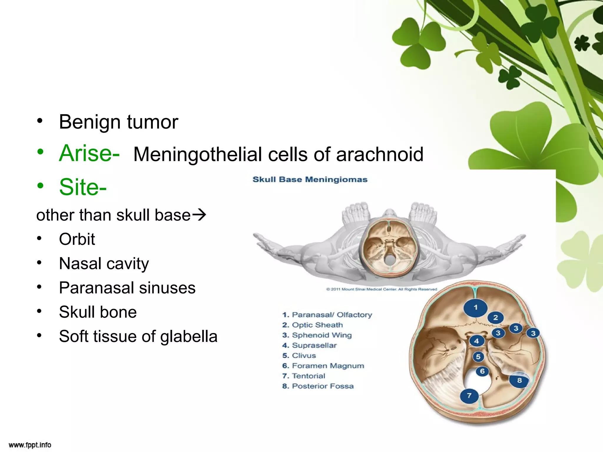 • Benign tumor
• Arise- Meningothelial cells of arachnoid
• Site-
other than skull base
• Orbit
• Nasal cavity
• Paranasal sinuses
• Skull bone
• Soft tissue of glabella