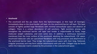 • Arachnoid
• The arachnoid and the pia mater form the leptomeningeal, or thin layer of meninges.
Immediately deep to the dural border cell layer sits the arachnoid barrier cell layer. This layer
consists of tightly packed large fibroblasts with minimal extracellular space and absence of
collagen. There is a unique abundance of cell junctions. Tight junctions among cells
strengthen the arachnoid barrier cell layer and render it impermeable to fluids, large
molecular weight substance, and even some ions. In addition, a continuous basement
membrane lines the inner surface of the arachnoid, abutting the subarachnoid CSF space.
Arachnoid trabecular cells are specialized fibroblasts with long processes and attachment to
the arachnoid barrier layer. They bridge the subarachnoid space with their long, flattened,
irregular processes and may form cellular attachments with pial cells. Collagen may be found
within the trabecular matrix created by the processes in the subarachnoid space.
 