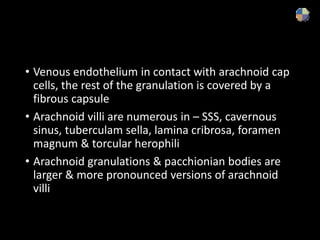 • Venous endothelium in contact with arachnoid cap
cells, the rest of the granulation is covered by a
fibrous capsule
• Arachnoid villi are numerous in – SSS, cavernous
sinus, tuberculam sella, lamina cribrosa, foramen
magnum & torcular herophili
• Arachnoid granulations & pacchionian bodies are
larger & more pronounced versions of arachnoid
villi
 
