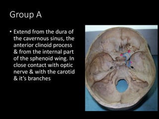 Group A
• Extend from the dura of
the cavernous sinus, the
anterior clinoid process
& from the internal part
of the sphenoid wing. In
close contact with optic
nerve & with the carotid
& it’s branches
 