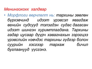 Менингококк халдвар 
• Морфлоги өөрчлөлт нь: тархины зөөлөн 
бүрхэвчинд идээт үрэвсэл явагдаж 
венийн судсууд тэлэгдэн судас дагасан 
идээт шингэн хуримтлагдана. Тархины 
гадар цусаар дүүрч хавагнахын зэрэгцээ 
үрэвслийн нэвчдэс тархины гүдгэр болон 
суурийн хэсгээр тархаж бичил 
буглаанууд үүсгэнэ. 
 
