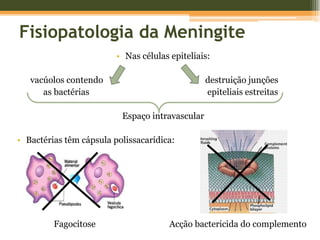 EtiologiaMENINGITES INFECCIOSAS:Bacteriana ou Meningite Piogénica AgudaViral ou Meningite Asséptica AgudaFúngicaOutras meningites: agentes químicos ou tumorais