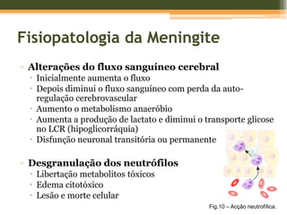 Manifestações ClínicasLCR turvo ou purulento com a pressão aumentadaPrincipal sinal de meningite: pleiocitose neutrofílicaAumento dos níveis proteicos no LCRDiminuição da glicose no LCRColoração Gram+ para bactérias