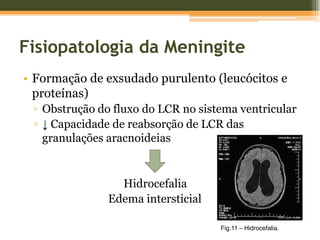 Fisiopatologia da MeningiteColonização da nasofaringe pela Streptococcus pneumoniaeA bactéria segrega uma protease de IgA que inactiva anticorpos do hospedeiro e facilita a aderência à mucosaFig.5 – Streptococcus pneumoniae.