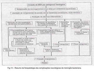 Fisiopatologia da MeningiteIndução da resposta inflamatória:
