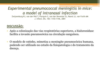 Astrócitoscitocinas inflamatórias