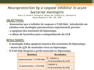 Monócitos			      e quimiocinas