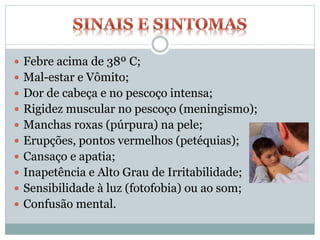  Febre acima de 38º C;
 Mal-estar e Vômito;
 Dor de cabeça e no pescoço intensa;
 Rigidez muscular no pescoço (meningismo);
 Manchas roxas (púrpura) na pele;
 Erupções, pontos vermelhos (petéquias);
 Cansaço e apatia;
 Inapetência e Alto Grau de Irritabilidade;
 Sensibilidade à luz (fotofobia) ou ao som;
 Confusão mental.
 