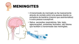 MENINGITES
• A transmissão da meningite se faz basicamente
através do contato entre uma pessoa doente ou
portadora da bactéria (mesmo que assintomática)
e outra pessoa susceptível.
• Saliva, secreções respiratórias, fala, beijo,
aglomerações, ambientes fechados, são fatores
que facilitam a transmissão das meningites.
 