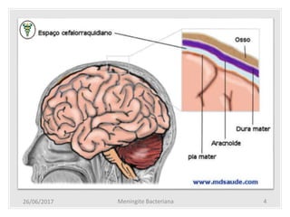 26/06/2017 Meningite Bacteriana 4
 