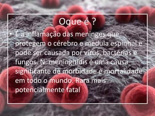 Oque é ?
• É a inflamação das meninges que
protegem o cérebro e medula espinhal e
pode ser causada por vírus, bactérias e
fungos. N. meningitidis é uma causa
significante de morbidade e mortalidade
em todo o mundo. Rara mais
potencialmente fatal
 