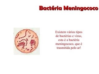 Bactéria Meningococo Existem vários tipos de bactérias e virus, esta é a bactéria meningococo, que é trasmitida pelo ar! 