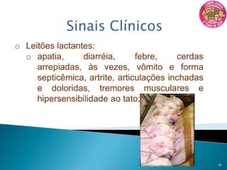 Espécie: Streptococcus suis